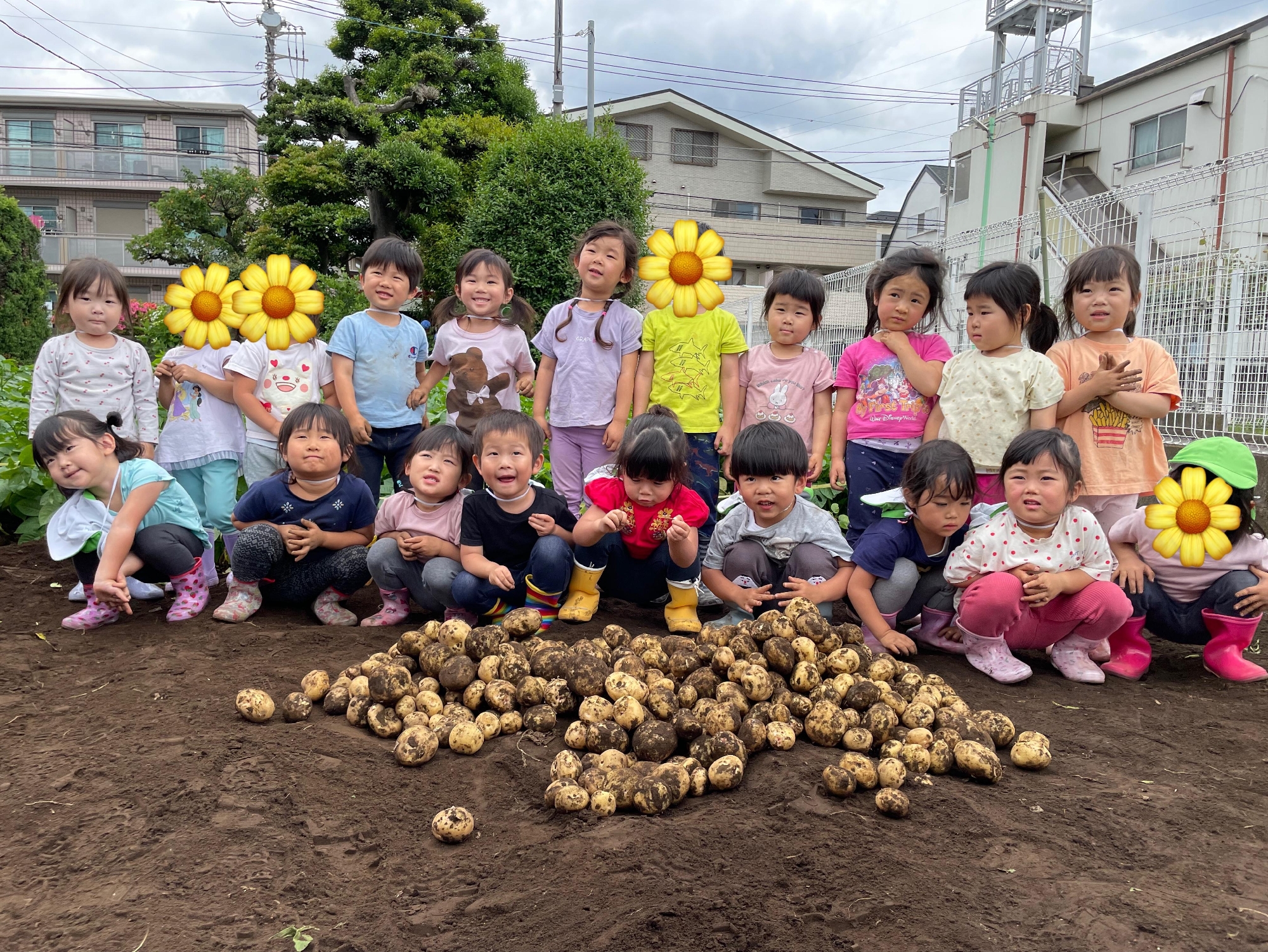 じゃがいも堀り